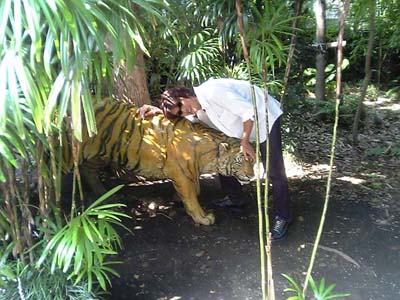 �g���g��
